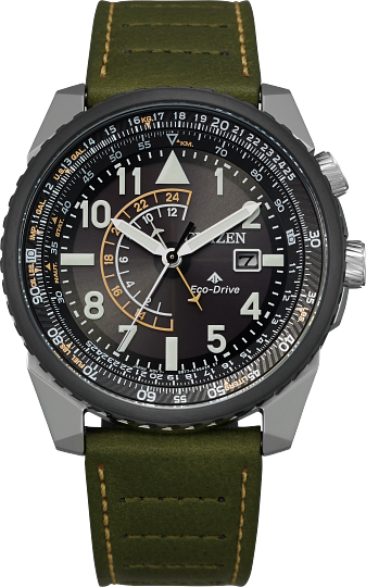 Citizen Promaster Nighthawk – Dunkin's Diamonds