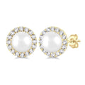 Pearl & Halo Diamond Earrings