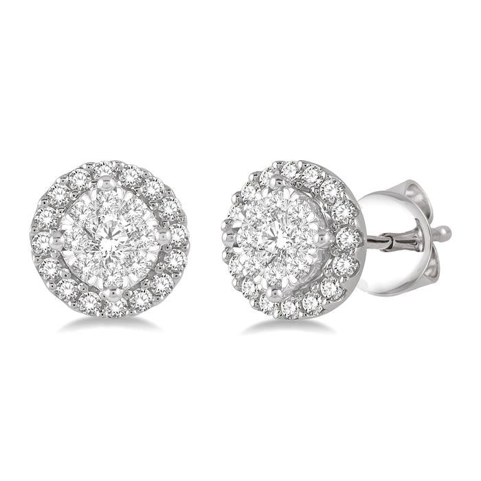Shine Bright RaVioLux CaNoPho 14K White Gold Diamond Pave Earrings
