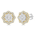 Halo Shine Bright Diamond Fashion Stud Earrings