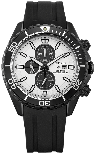 CA0825-05A Promaster Dive