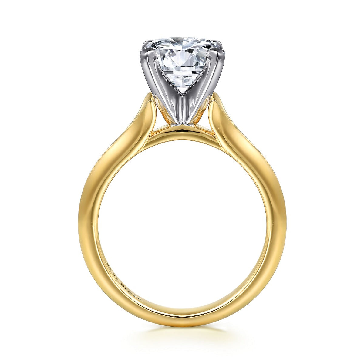 Ellis - 14K White-Yellow Gold Round Semi-Mount Ring