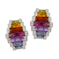 Ultimate Color Earrings