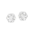 14kt White Gold Earring 1/4ctw