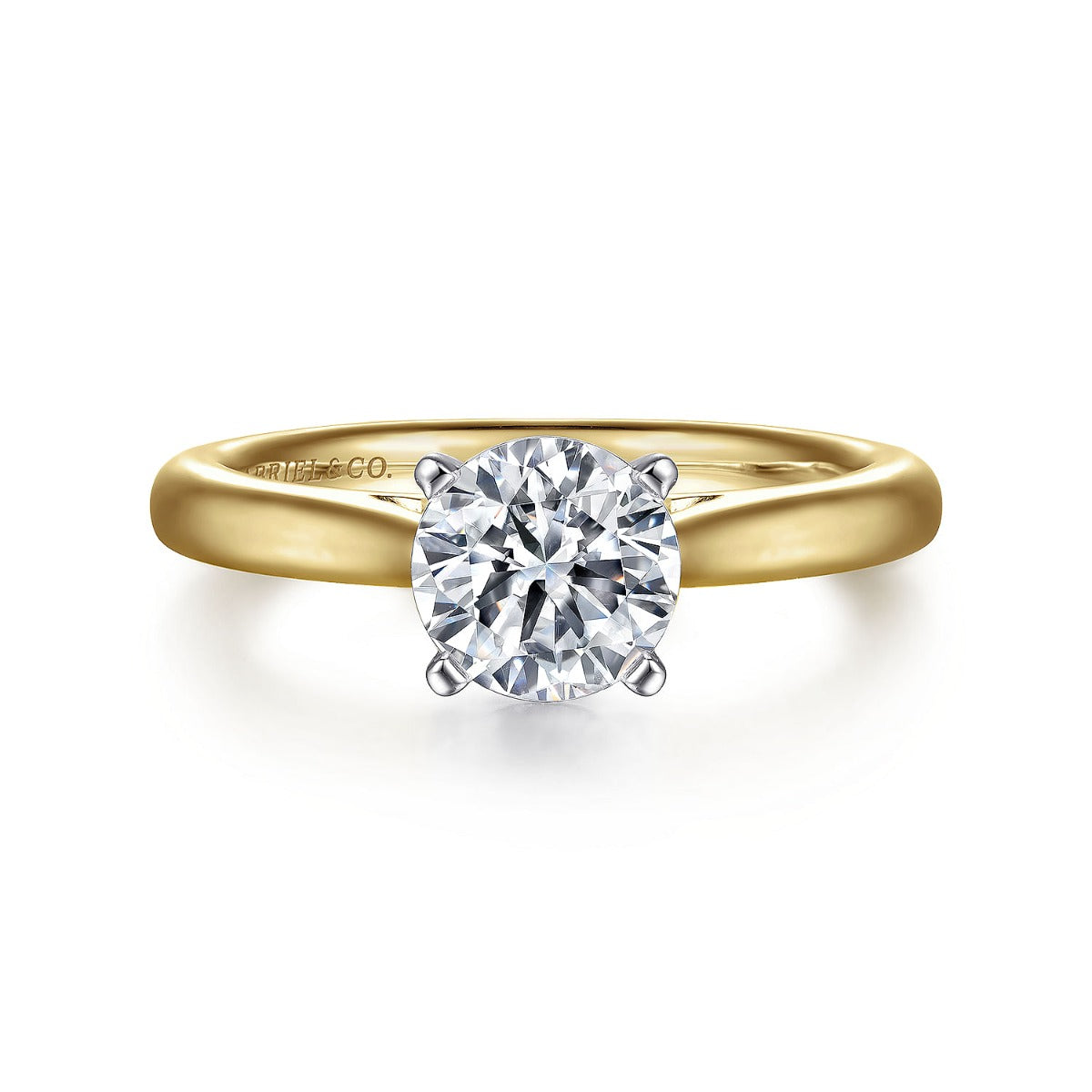 Michelle - 14K White-Yellow Gold Round Semi-Mount Ring