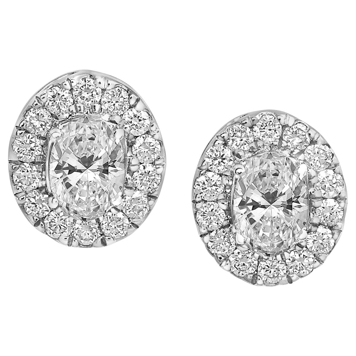 Radiant Elegance Lab Grown 1 CTW Oval Halo Earrings
