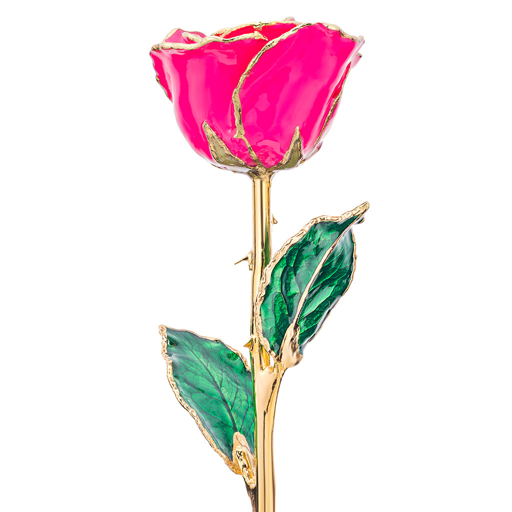 Magenta 24k Gold Dipped Rose