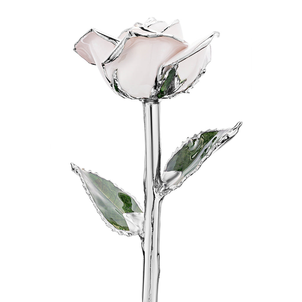 Snow White 24k Platinum Dipped Rose