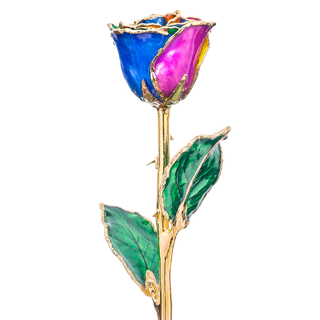 Rainbow 24k Gold Dipped Rose
