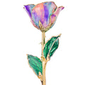 Opal 24k Gold Dipped Rose