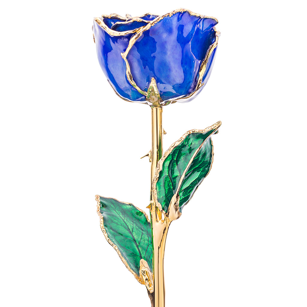 Sapphire 24k Gold Dipped Rose Front View