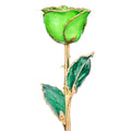 Green Apple 24k Gold Dipped Rose Front View