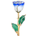 Sapphire and Ghost White 24k Gold Dipped Rose