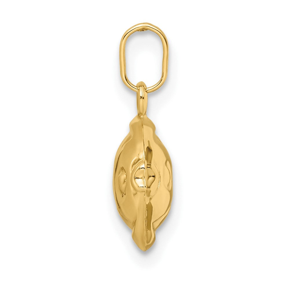 Sunny Cloud 14k Madi K Polished 3-D Fish Pendant