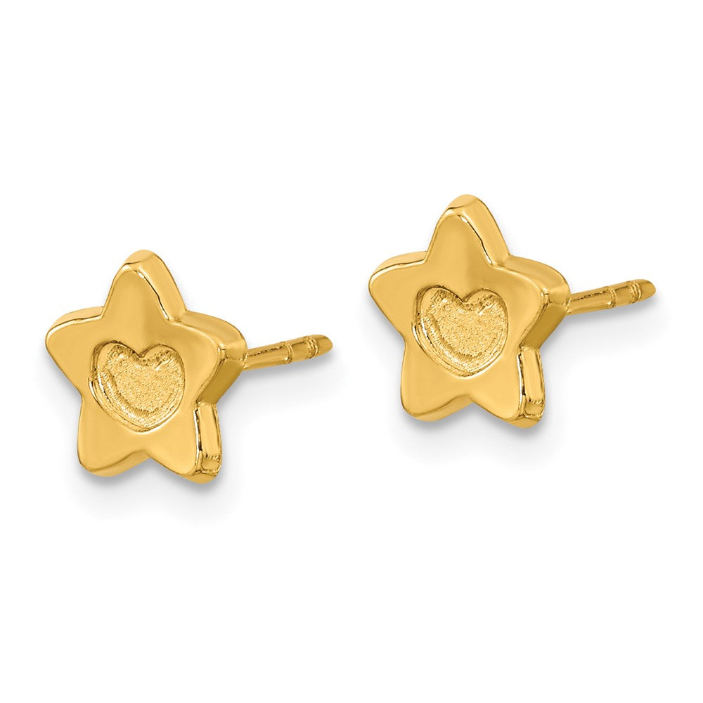 Sunny 14k Madi K Satin and Polished Heart in Star Post Earrings