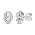 Halo Stud Earrings (Oval)