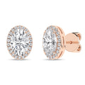 Halo Stud Earrings (Oval)