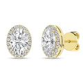 Halo Stud Earrings (Oval)