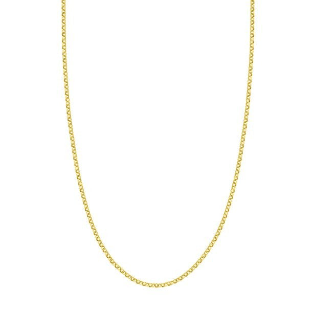 Arlisse 14K Yellow Gold 2.50mm Hollow Rolo Chain