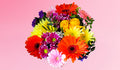 Free Flowers with Purchase