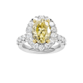 ELEGANT HALO RING (OVAL)