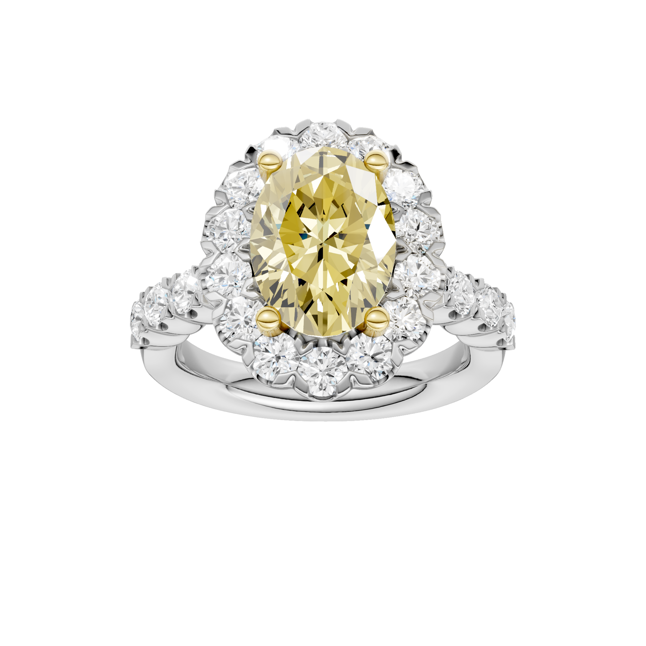 ELEGANT HALO RING (OVAL)