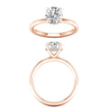 Hidden Halo Plain Shank Engagement Ring (Round)