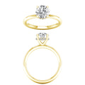 Hidden Halo Plain Shank Engagement Ring (Round)