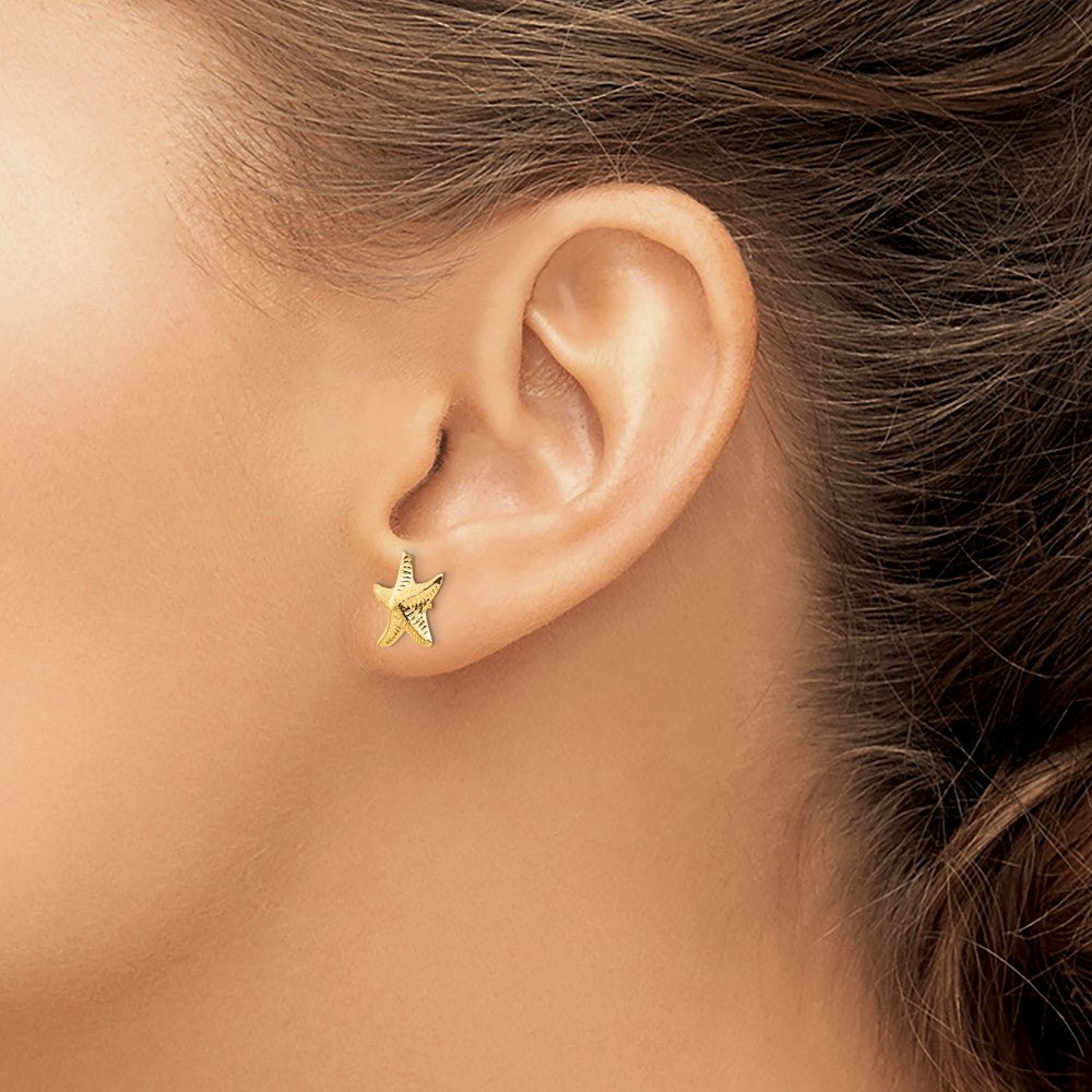 Pebble Pop 14k Madi K Starfish Post Earrings