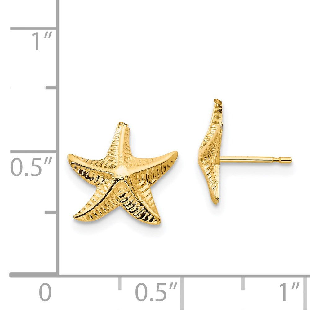 Pebble Pop 14k Madi K Starfish Post Earrings