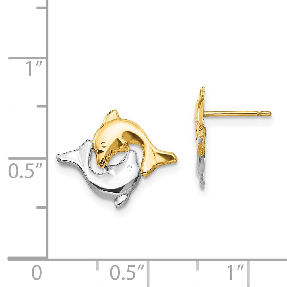 Cotton Shine 14k Madi K w/Rhodium Dolphin Post Earrings