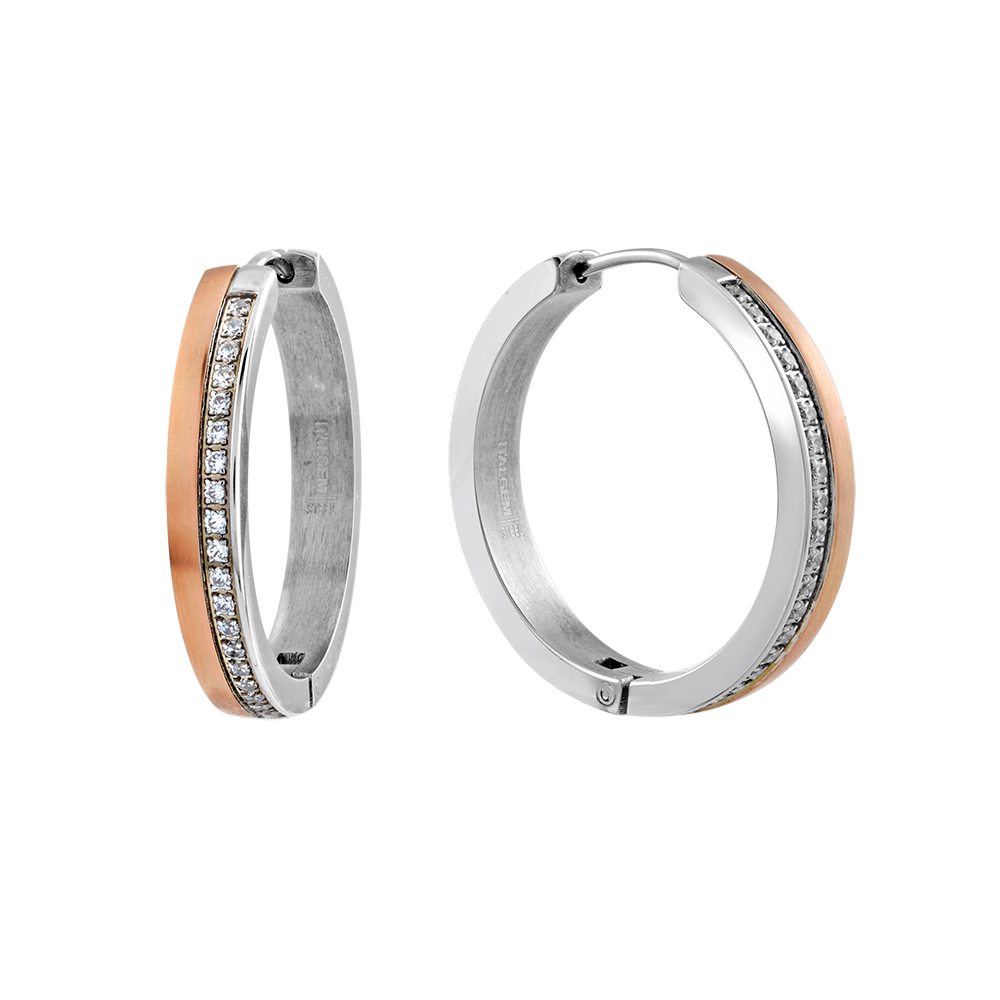 Steel Earrings