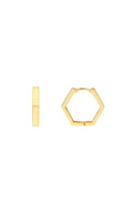 14k Yellow Gold Pentagon Earrings