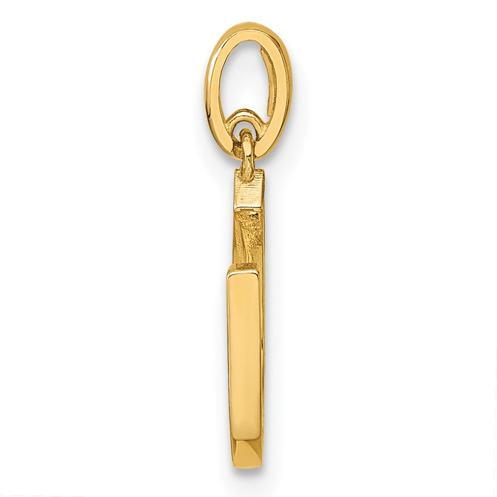 Calm Solstice 14k Childrens CZ Horseshoe Pendant